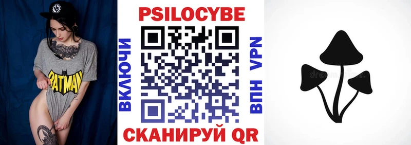 Галлюциногенные грибы Psilocybine cubensis как найти Камышлов